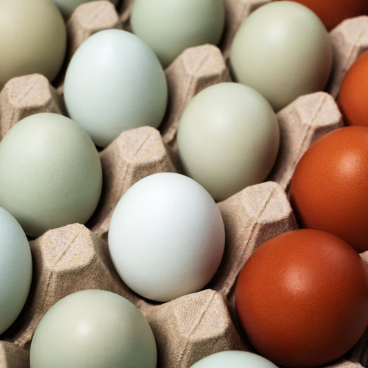 Voici quelques faits intéressants sur les œufs de poule que vous pourriez ne pas connaître - Ma Poule Express