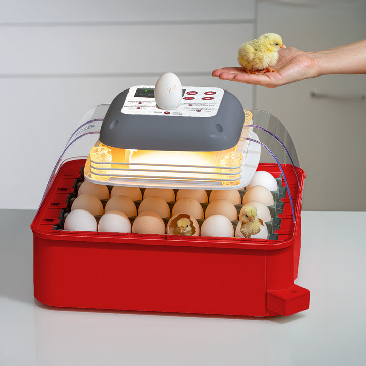 24-egg automatic incubator - LED display, turning & humidity control (110 V)