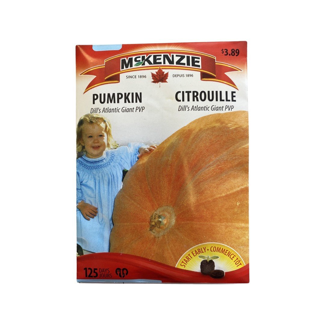 3,89$ - Graines de Citrouille ( Dill's Atlantic Giant PVP ) - Ma Poule Express