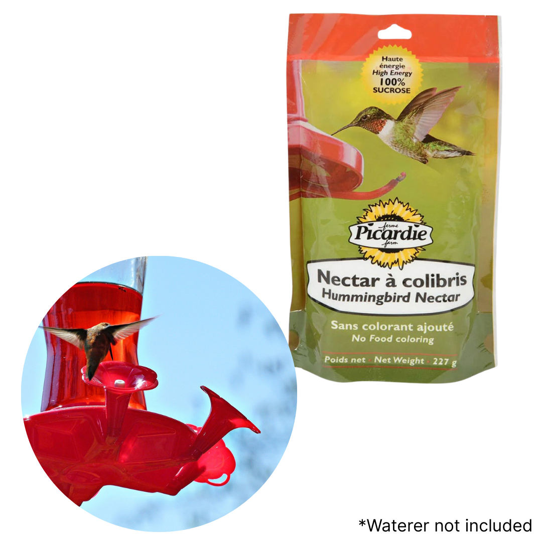 Kit Complet "Refuge d’Oiseaux" – Gâteries et Graines pour Oiseaux Sauvages
