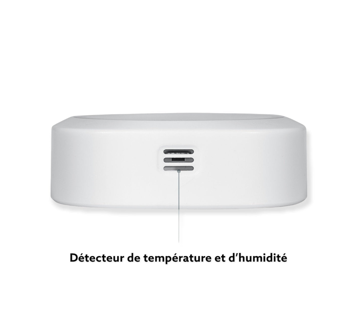 Capteur de température et d'humidité Bluetooth - Inkbird IBS-TH1 Plus - Ma Poule Express