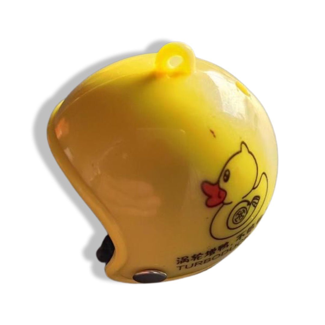 Casque Amusant Pour Poules - Ma Poule Express