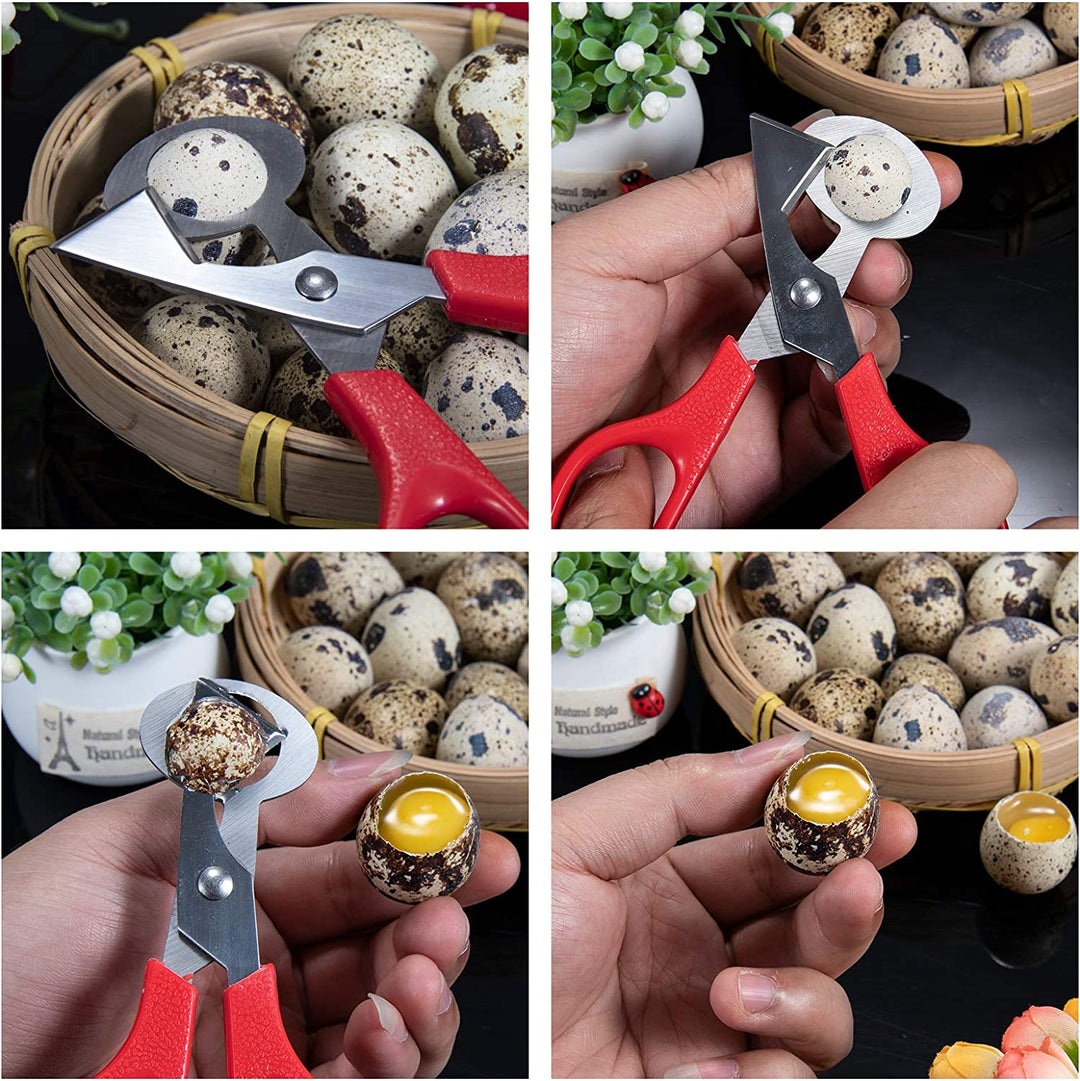 Ciseaux pour œufs de cailles - Ma Poule Express