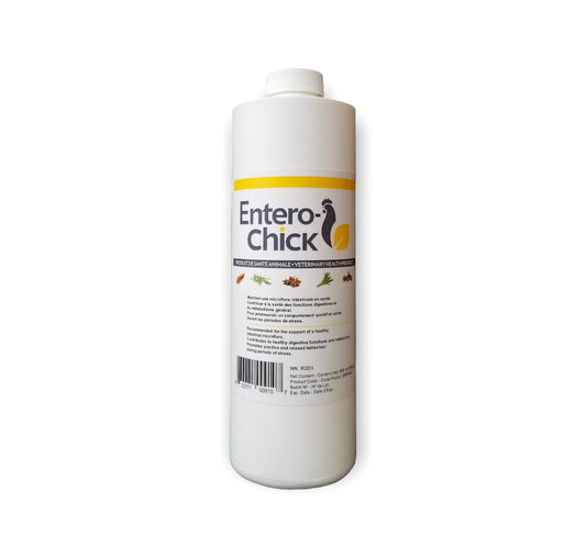 Entero-Chick - 500ml - Ma Poule Express