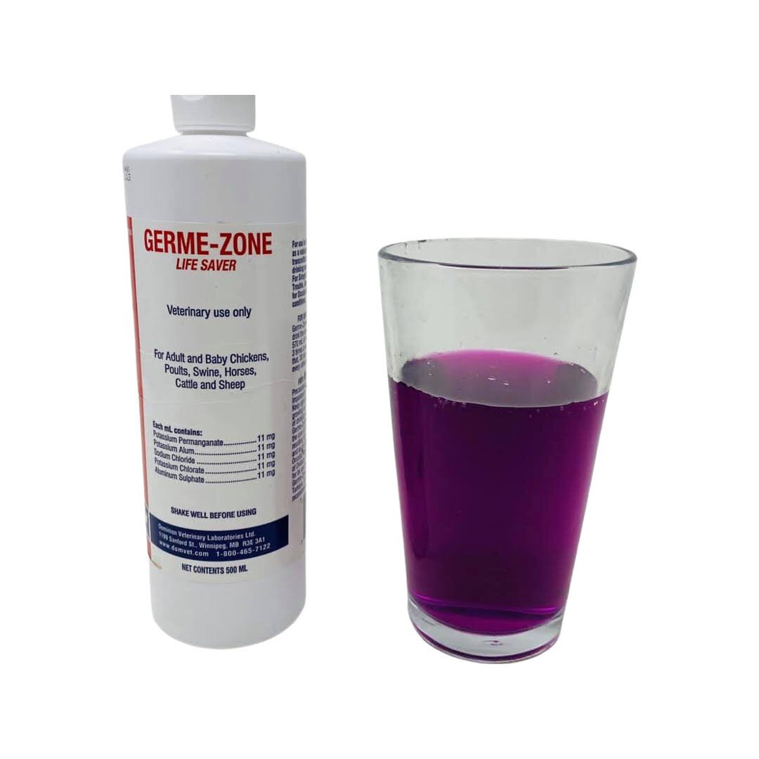 Germe Zone - Ma Poule Express