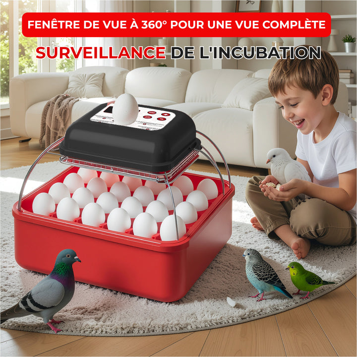 Incubateur automatique 24 œufs – écran LED, retournement & contrôle humidité (110 V) - Ma Poule Express