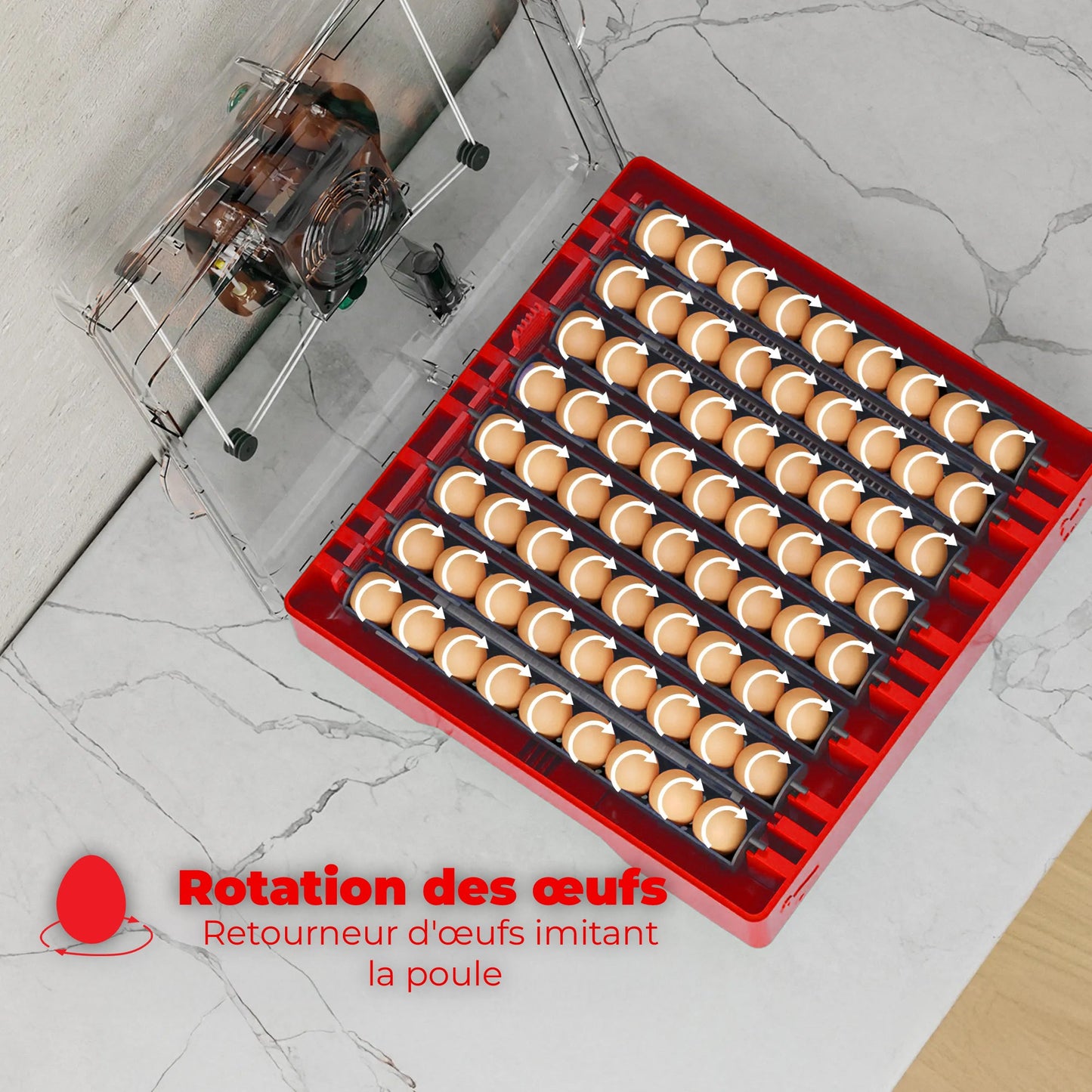 Incubateur numérique 72 œufs – retournement automatique, contrôle T°/humidité à écran LED (110 V) - Ma Poule Express
