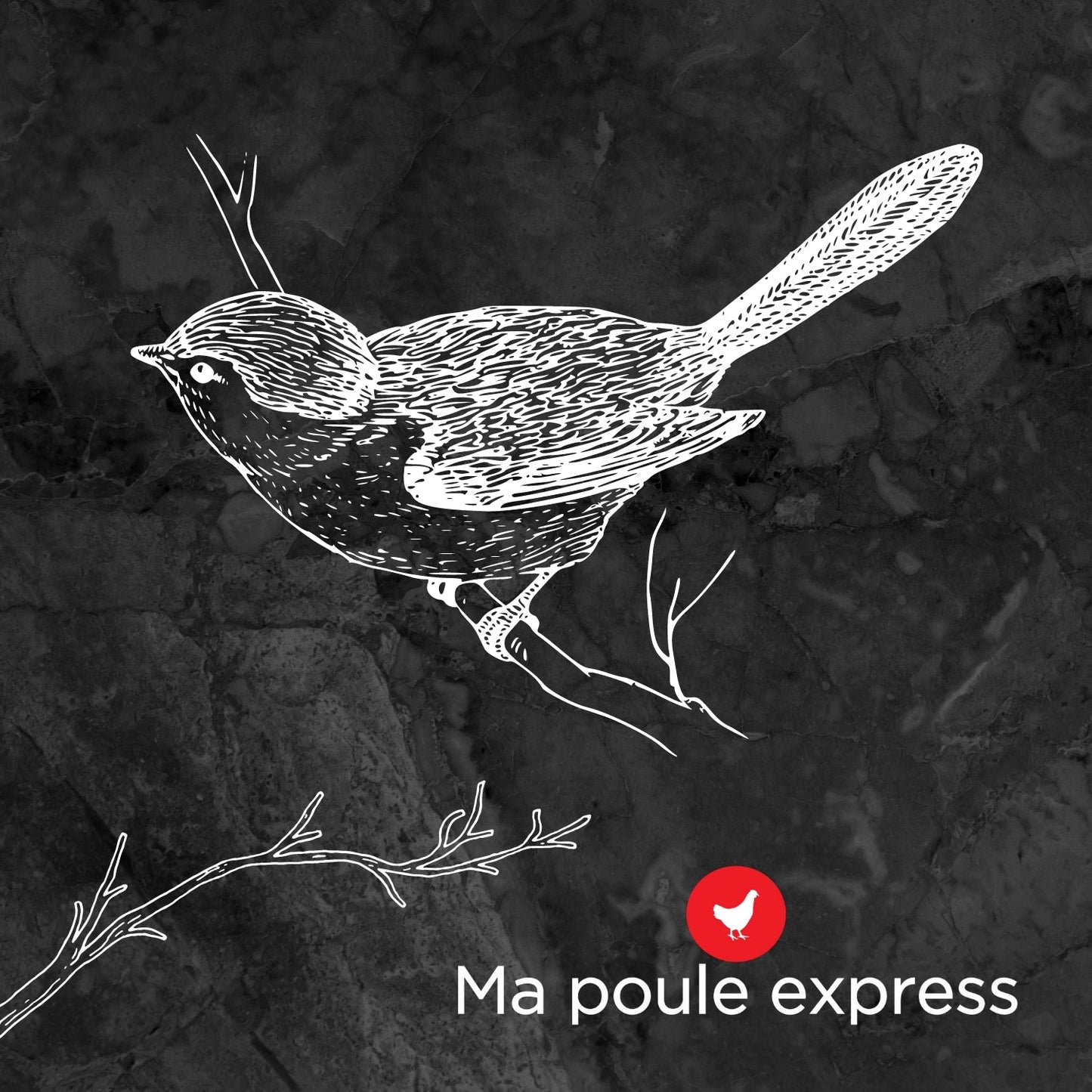 Mélange Toutes Saisons - Ma Poule Express