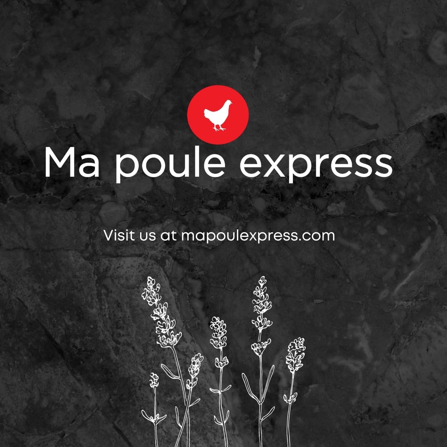 Mélange Vedette - Vers de farine et larves de mouche séchés 5 LBS - Ma Poule Express