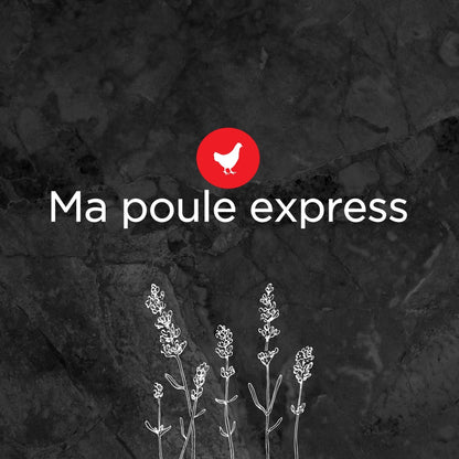 Party Mix - Mélange de grains et d'insectes - Ma Poule Express