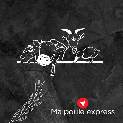 Party Mix - Mélange de grains et d'insectes - Ma Poule Express