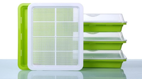 Plateau de germination - sans BPA - Ma Poule Express