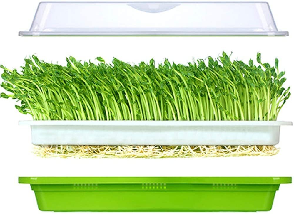 Plateau de germination - sans BPA - Ma Poule Express
