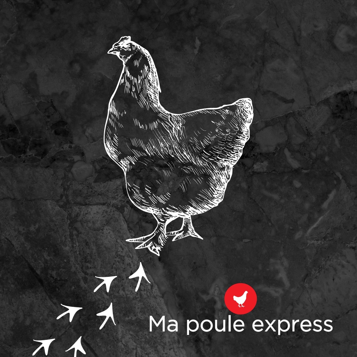 Vers à farine - Ma Poule Express