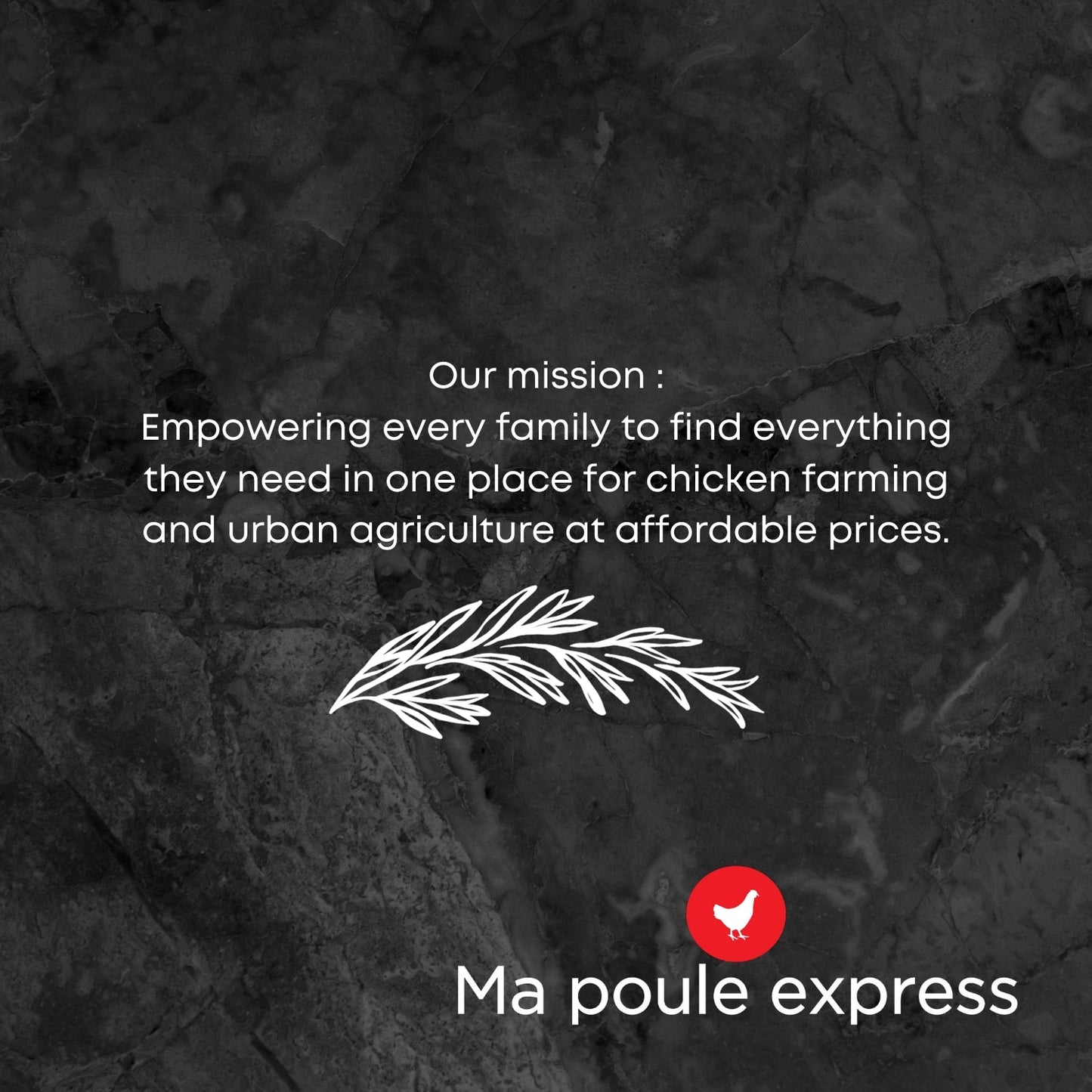 Vers de Farine Séchés - Édition 100% LOCAL Fabriqué au Québec - Ma Poule Express