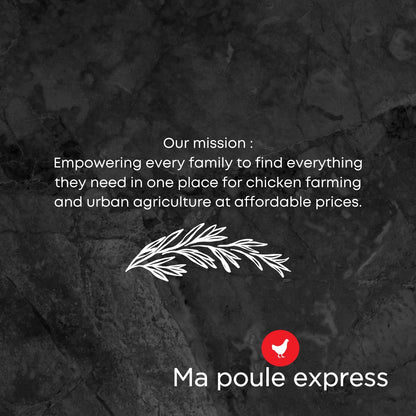 Vers de Farine Séchés - Édition 100% LOCAL Fabriqué au Québec - Ma Poule Express