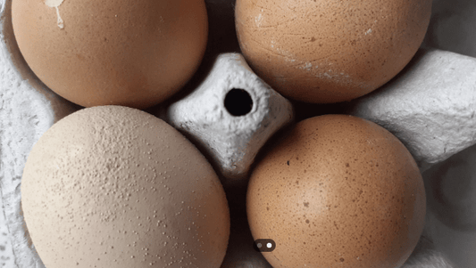 Coquille d'œuf granuleuse : causes et solutions - Ma Poule Express
