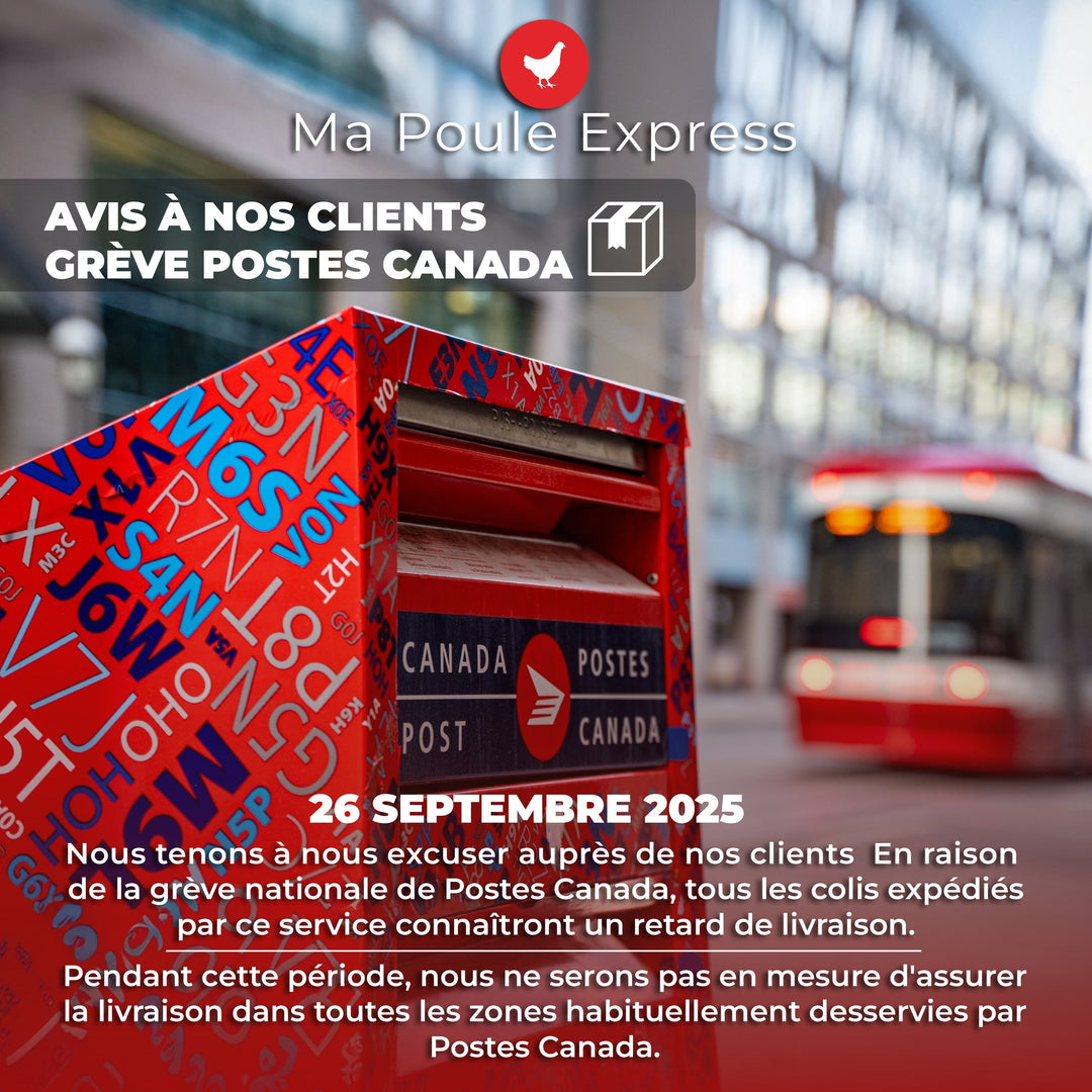 grève de Postes Canada - Ma Poule Express
