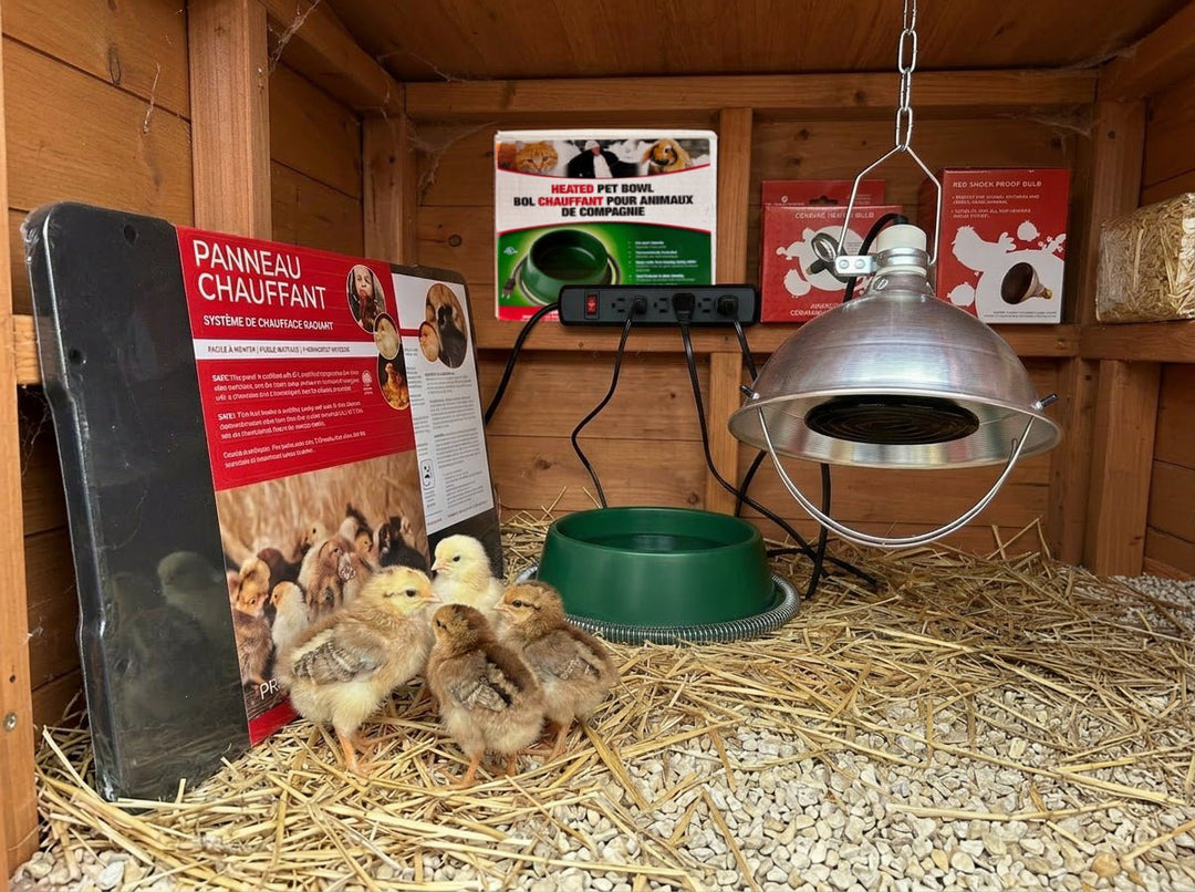 Produits chauffants pour animaux - Ma Poule Express