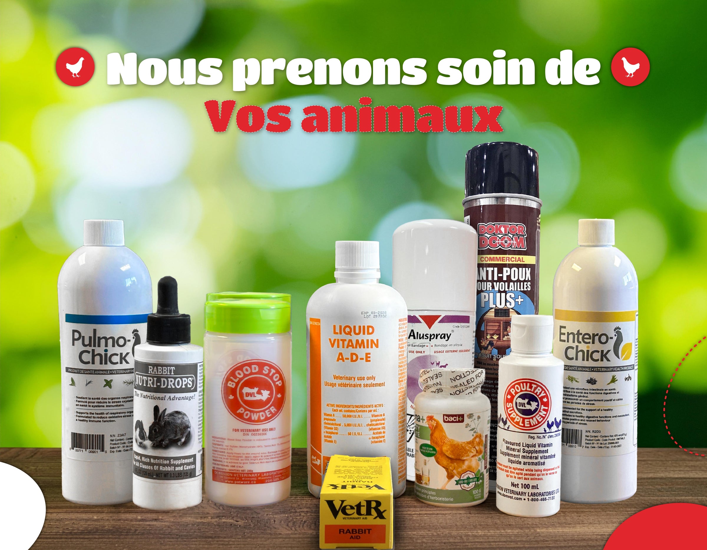 Santé - Ma Poule Express