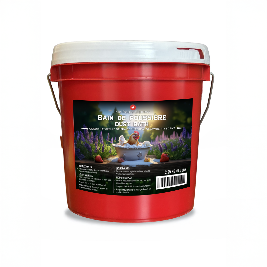 Ensemble complet pour poulailler – 4 supports de lampes chauffantes, 4 ampoules, larves BSF 5 lb, millet en grappe 5 lb et bain de poussière 5 lb