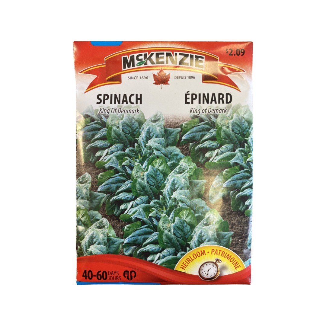 2,09$ - Graines d'épinard (King of Demark) - Ma Poule Express