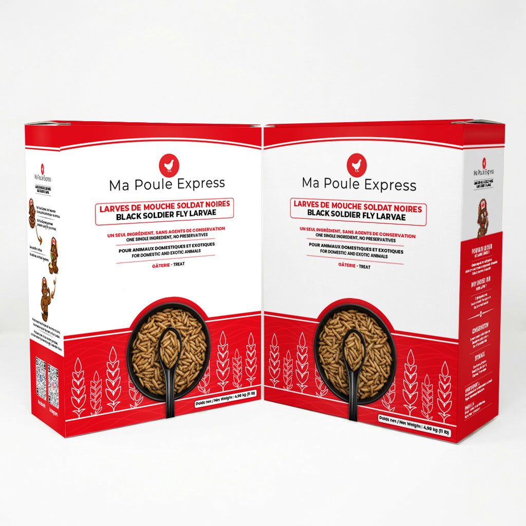 Larves de mouche soldat noire séchées 22 lb (10 kg) – Très grand format