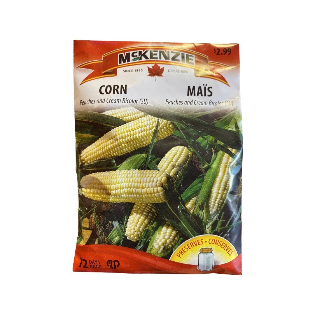 2,99$ - Graines de Maïs ( Peaches and Cream Bicolor ) - Ma Poule Express