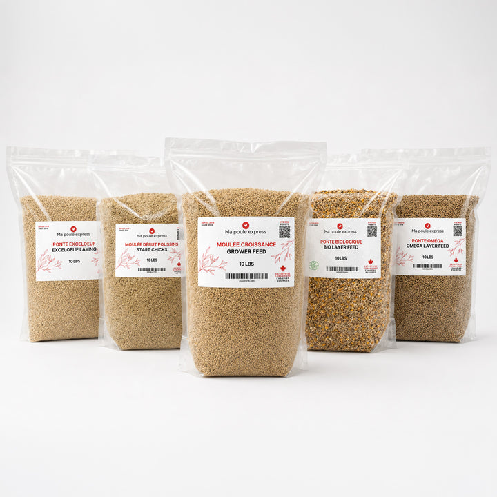 Moulée pour Poules et Poussins – 5 Formules au Choix | Sac de 10 lb