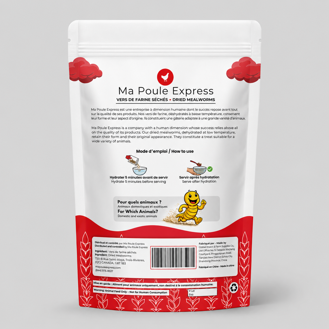 Vers de farine séchés 8 oz (227 g) – Petit format | Ma Poule Express
