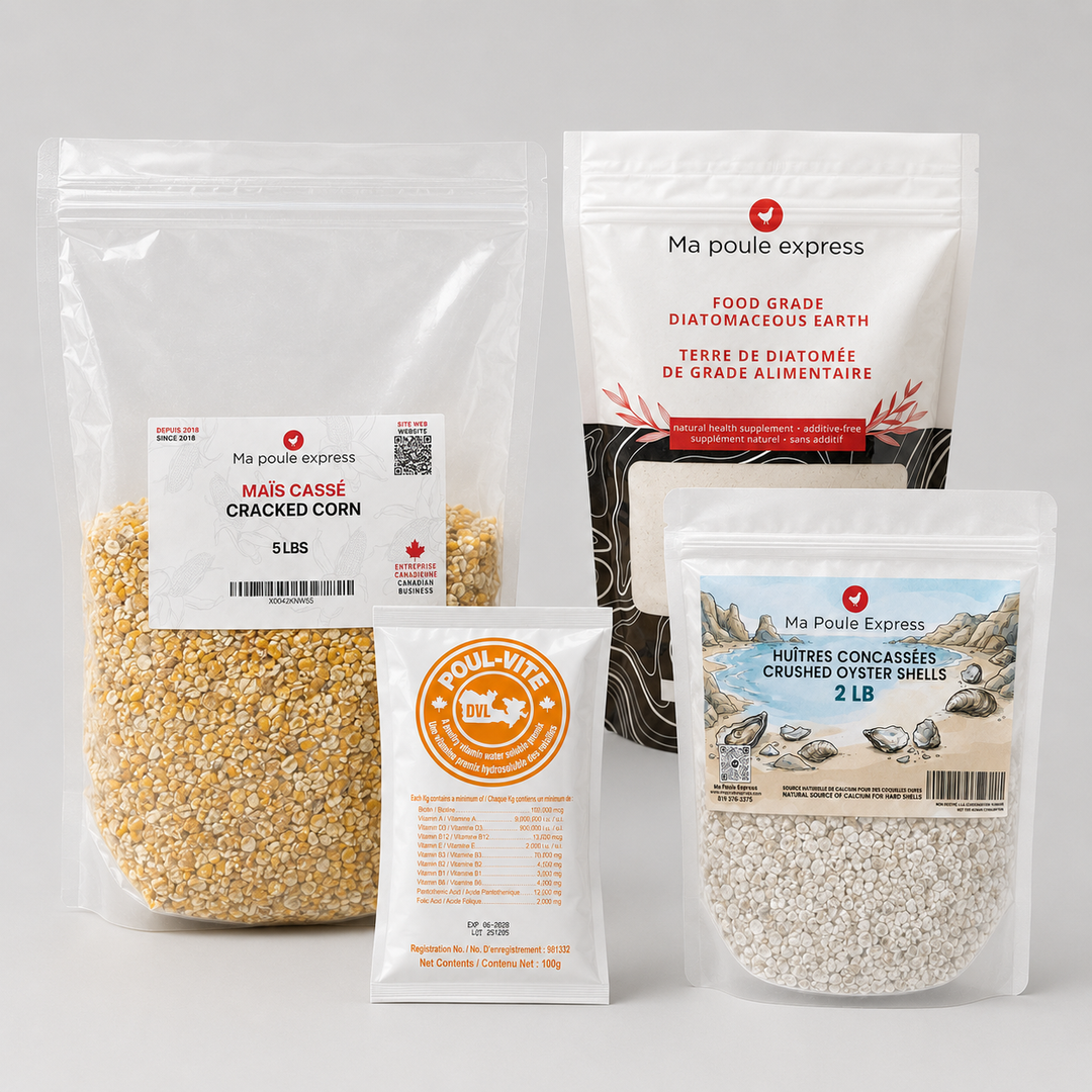 Combo Essentiel pour Poules Urbaines – Offre de Juillet | 4 Produits