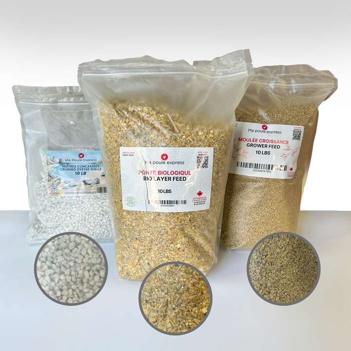 Combo Septembre pour Poules – Moulée Croissance 10 lb + Moulée Bio 10 lb + Huîtres Concassées 10 lb