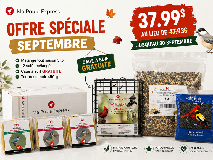 Combo Septembre pour oiseaux sauvages – Mélange toutes saisons 5 lb + 12 suifs mélangés + cage à suif gratuite + tournesol noir 450 g