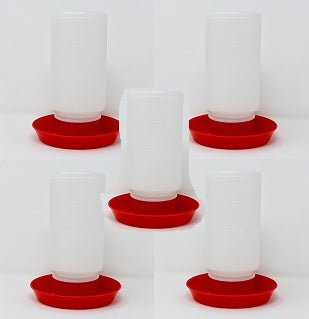 Abreuvoir 1 L - Ma Poule Express