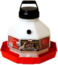 Abreuvoir 3 Gallons -Little Giant - Ma Poule Express