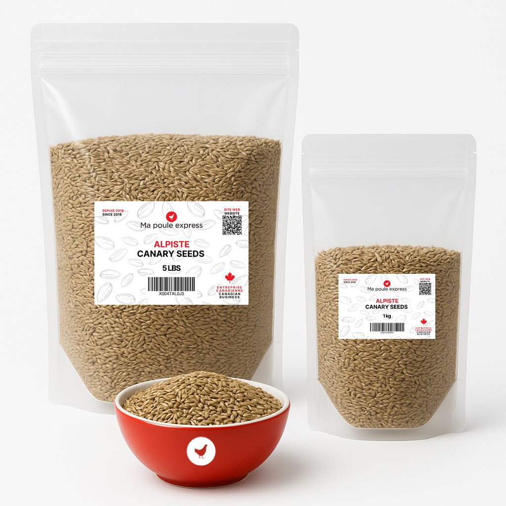 Alpiste Canary Seed – Nutrition Premium pour Oiseaux 1Kg, 5lbs - Ma Poule Express