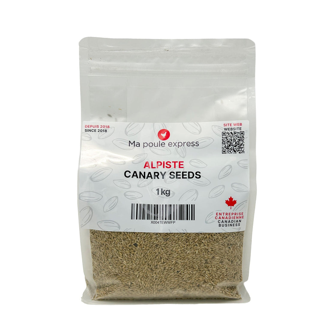 Alpiste Canary Seed – Nutrition Premium pour Oiseaux 1Kg, 5lbs - Ma Poule Express
