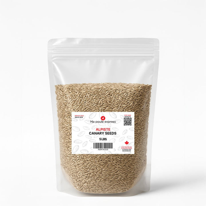 Alpiste Canary Seed – Nutrition Premium pour Oiseaux 1Kg, 5lbs - Ma Poule Express