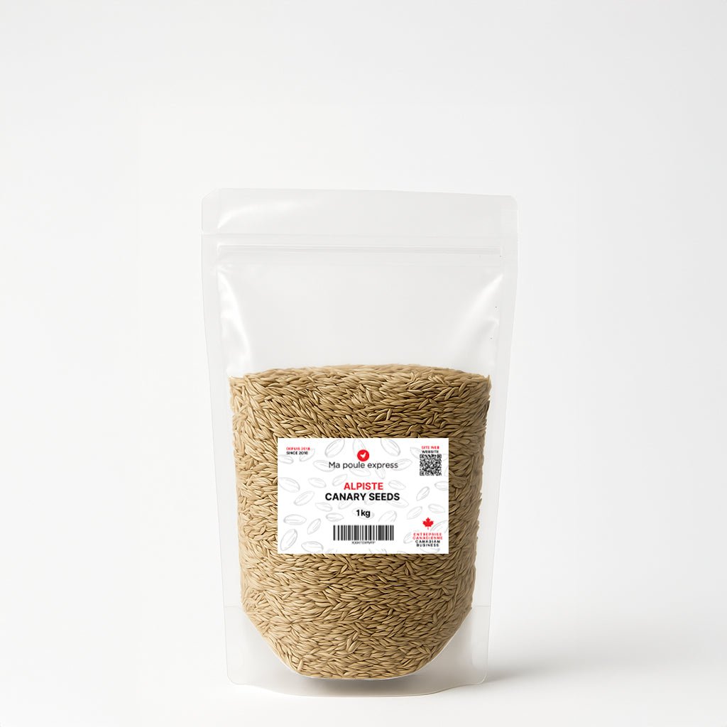 Alpiste Canary Seed – Nutrition Premium pour Oiseaux 1Kg, 5lbs - Ma Poule Express