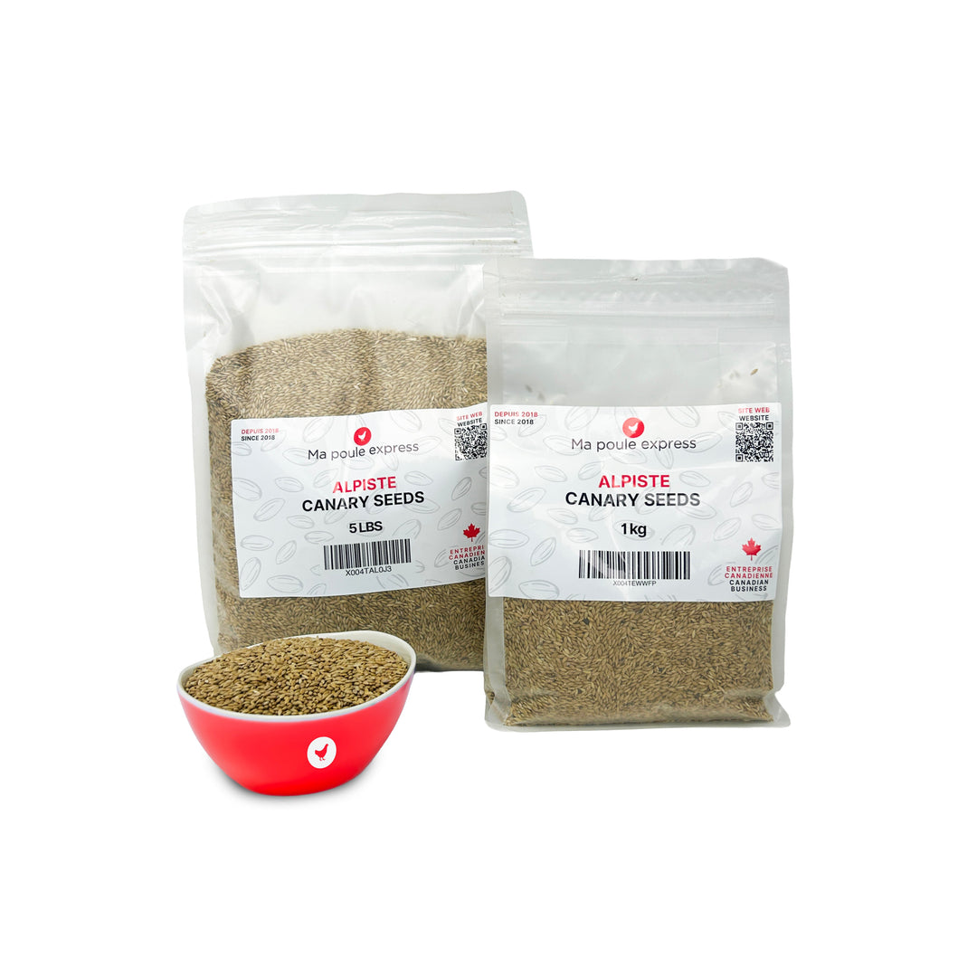 Alpiste Canary Seed – Nutrition Premium pour Oiseaux 1Kg, 5lbs - Ma Poule Express