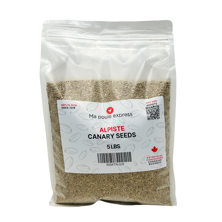 Alpiste Canary Seed – Nutrition Premium pour Oiseaux 1Kg, 5lbs - Ma Poule Express