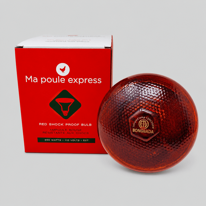 Ampoule résistante aux chocs - 250 W - Ma Poule Express