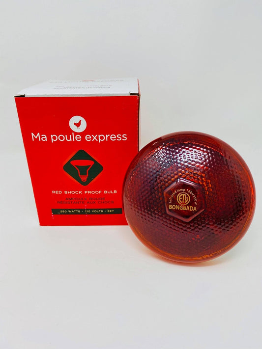 Ampoule résistante aux chocs 250 W - Ma Poule Express