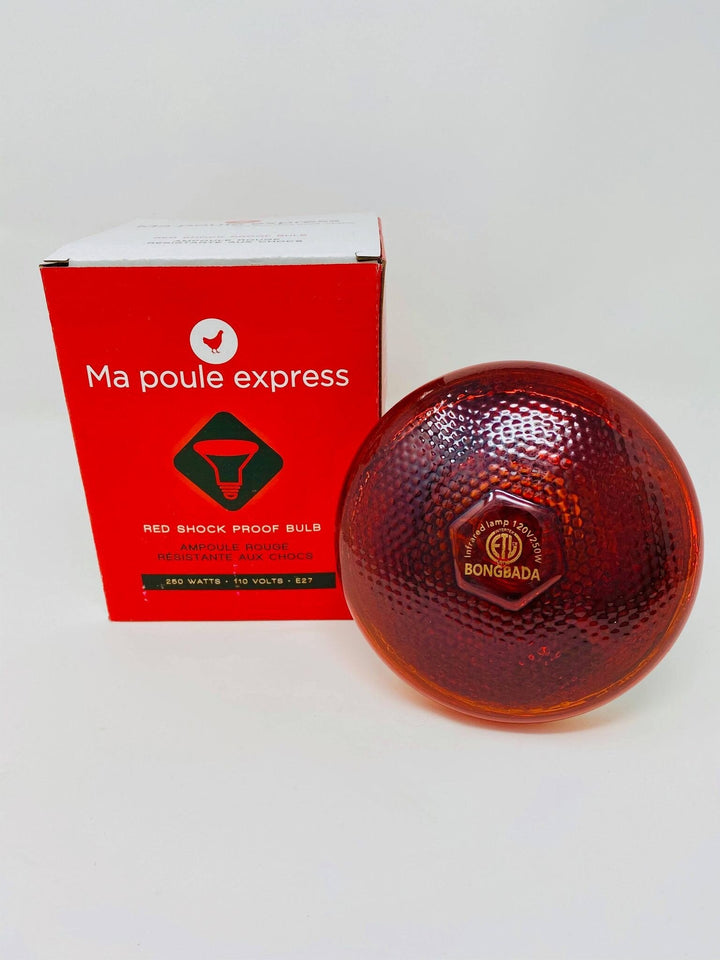 Ampoule résistante aux chocs 250 W - Ma Poule Express