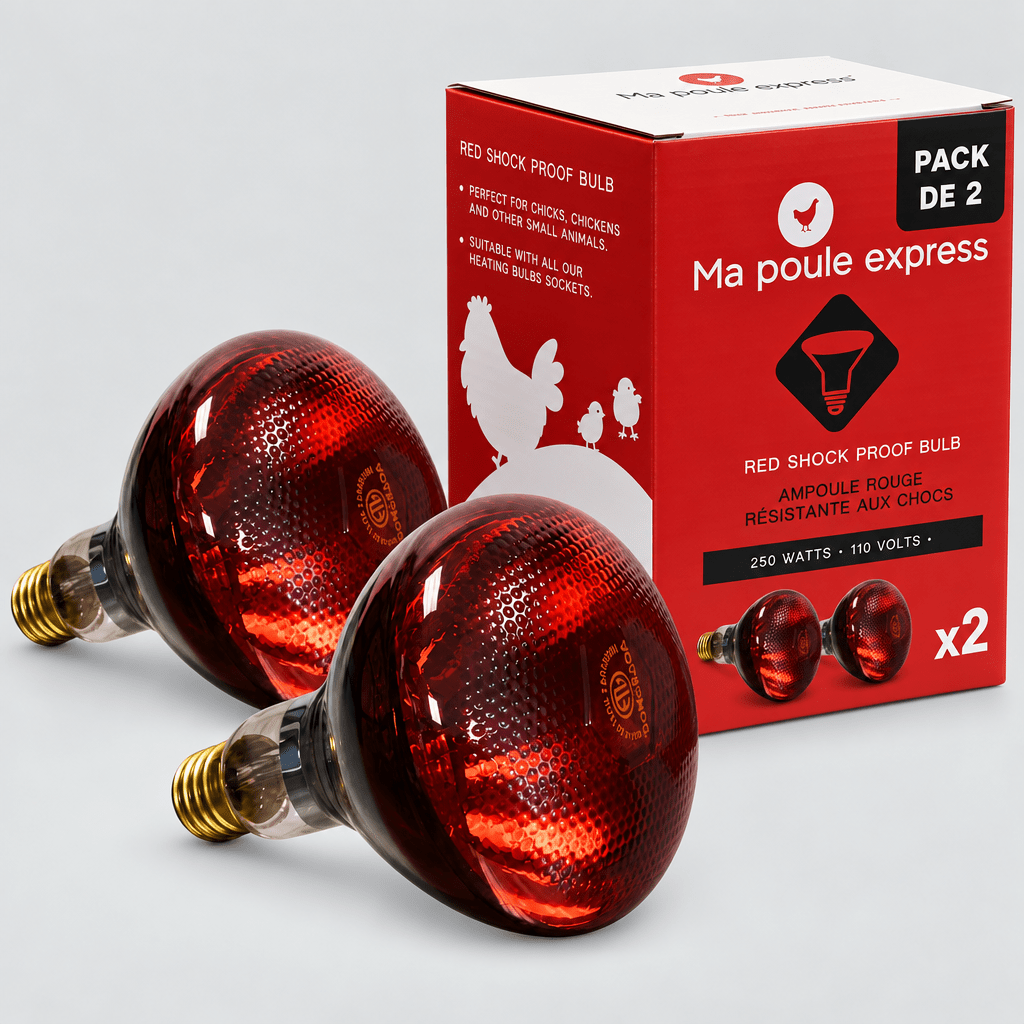 Ampoule résistante aux chocs - 250 W - Ma Poule Express