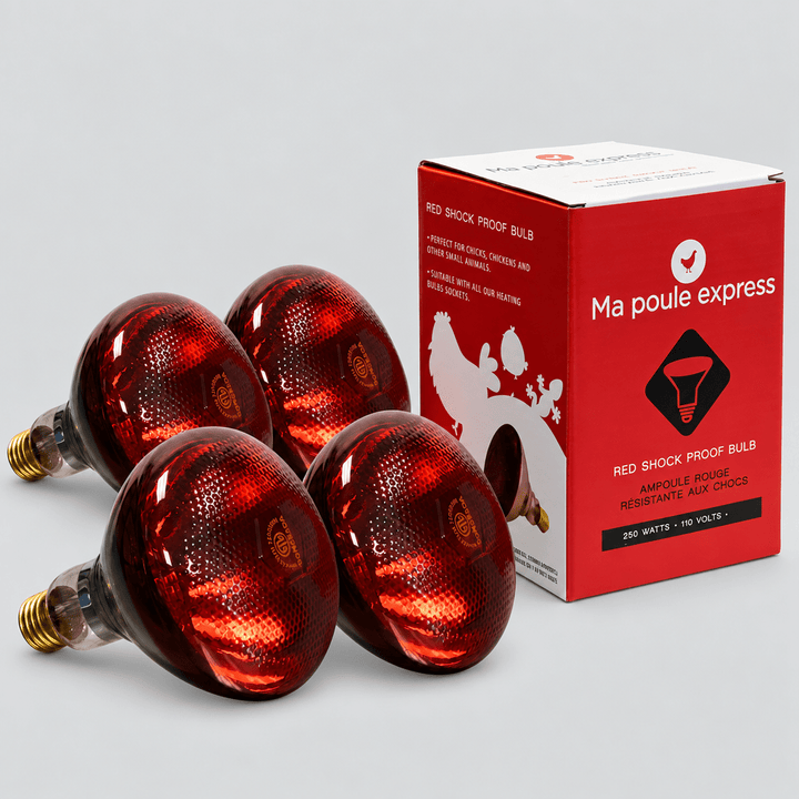 Ampoule résistante aux chocs - 250 W - Ma Poule Express