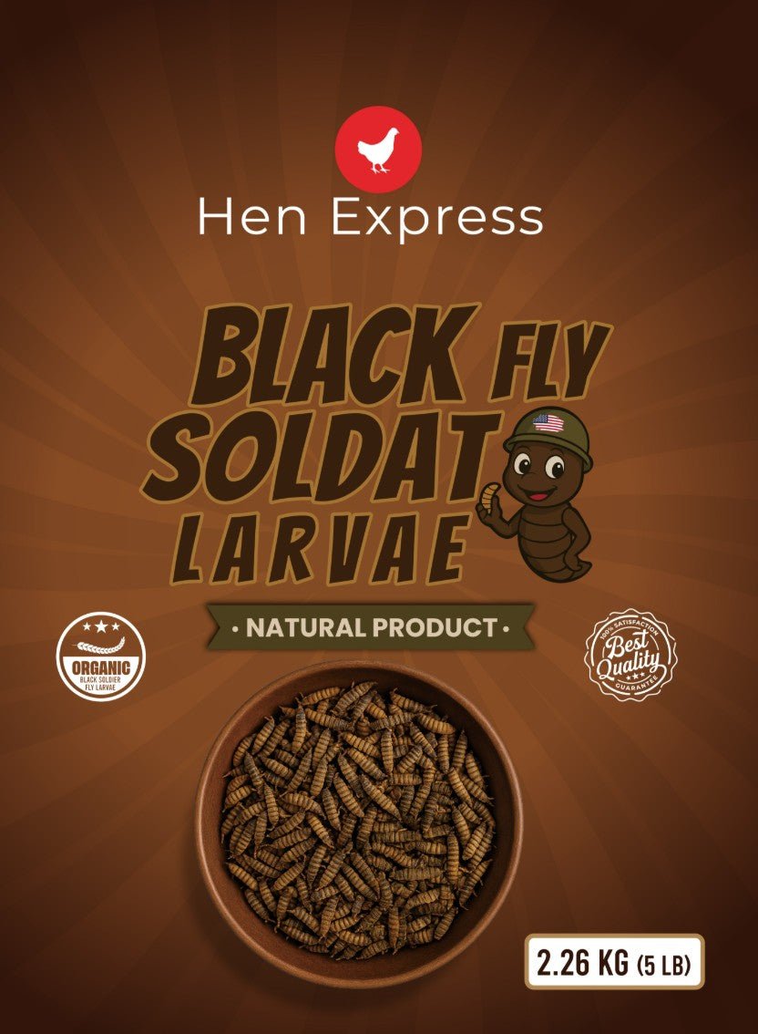 Black Friday 2025 - Larves de Mouche - 5 LB - Ma Poule Express