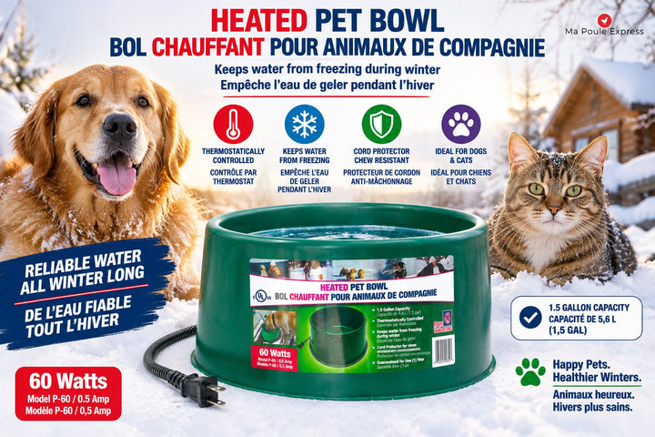 Bol d’eau chauffant pour animaux 5,6 L – 60 W – Farm Innovators P-60 – Vert - Ma Poule Express
