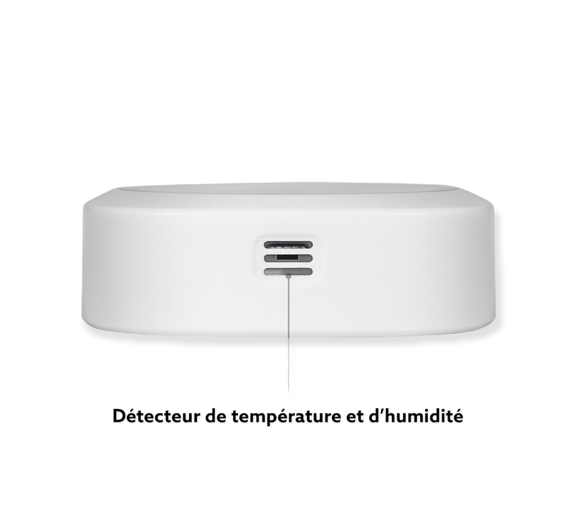 Inkbird IBS TH1 Plus Bluetooth temperature and humidity sensor