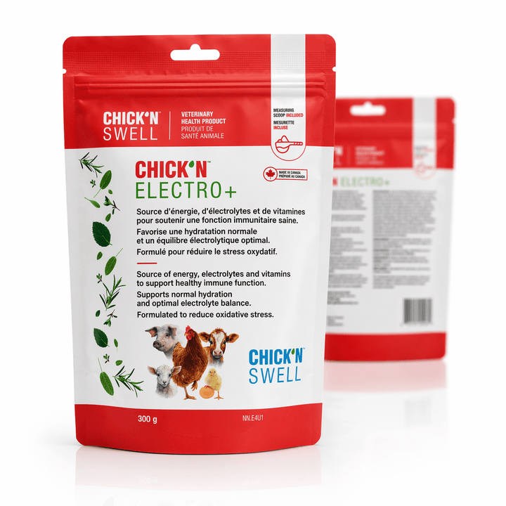 CHICK&
